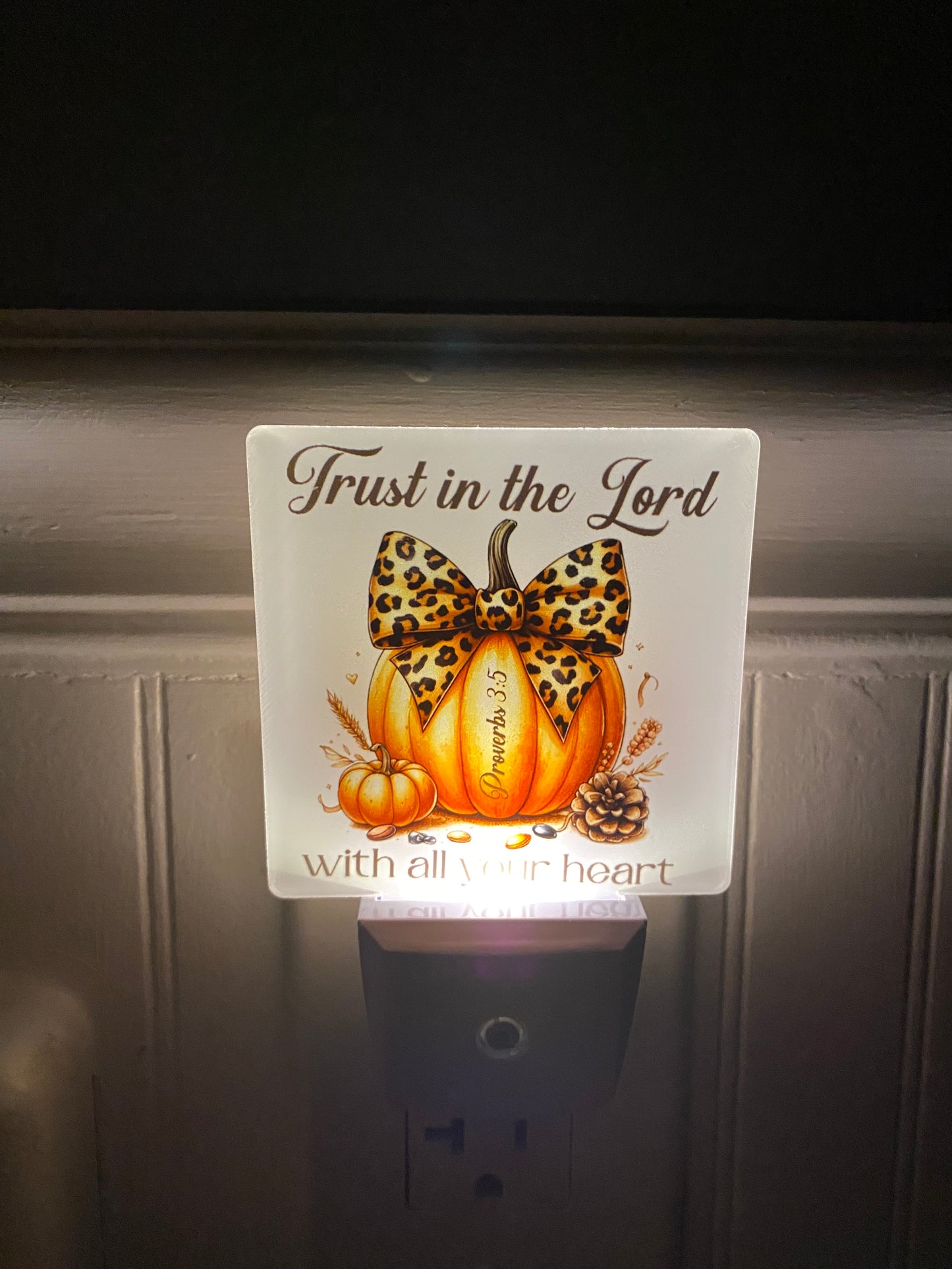 Trust in the Lord Night Light